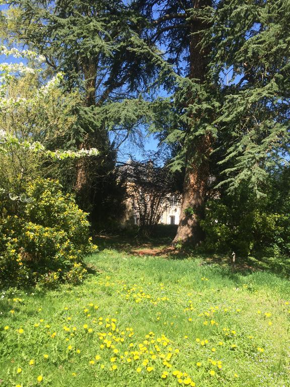 קלוני La Maison Des Gardes - Chambres D'Hotes מראה חיצוני תמונה